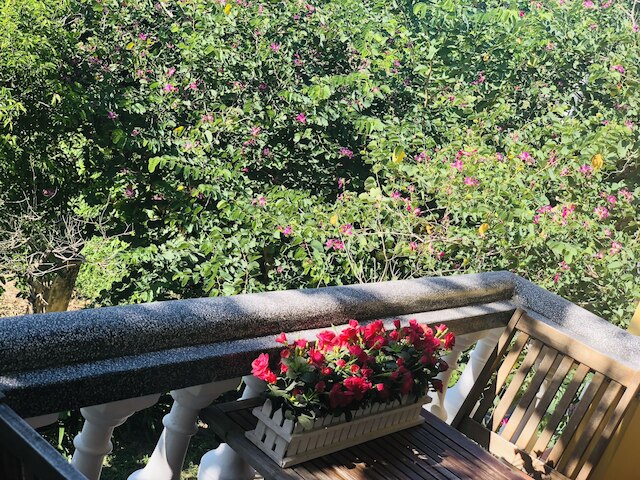 タミー ホステル