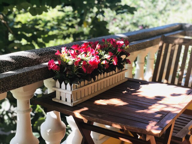 タミー ホステル