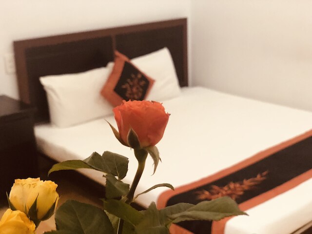 タミー ホステル