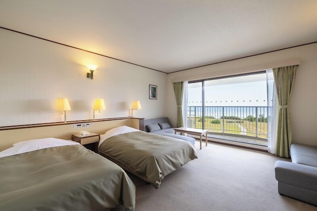 コーラル パームス