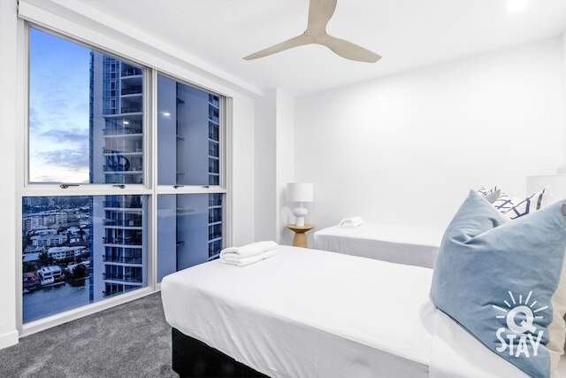 シェブロン ルネッサンス - Q ステイ