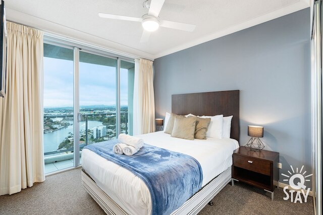 シェブロン ルネッサンス - Q ステイ