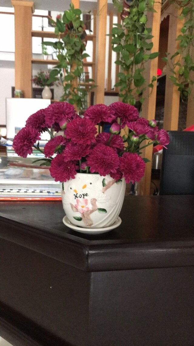 ミス テン ホームステイ