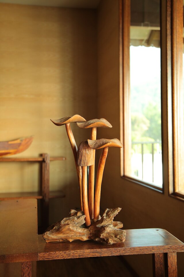 ドリーム ココナット ヴィラ リゾート