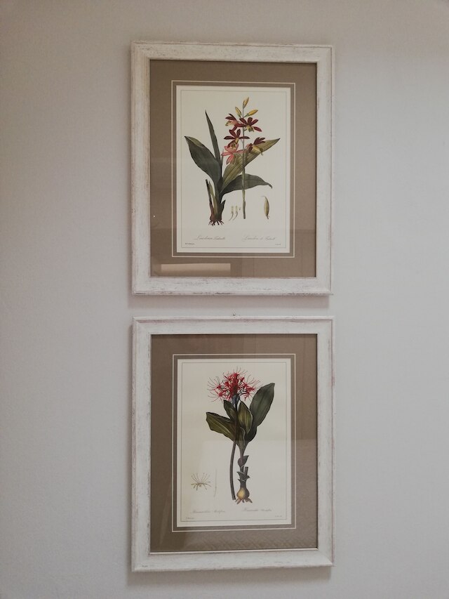 ヌマ フィレンツェ フィオーレ