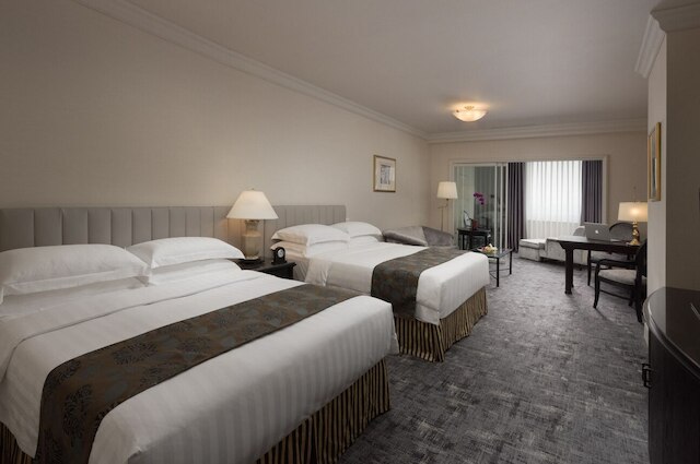 ハイ ライ イージー ステイ