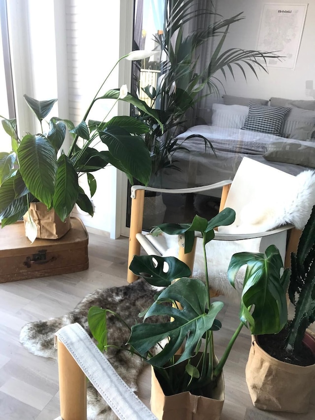 ルースト ロータサリ