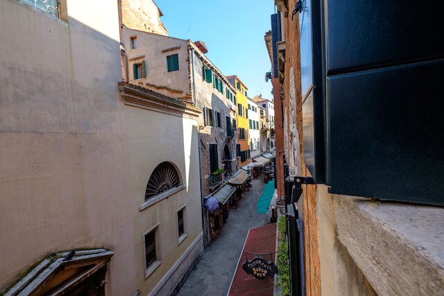 ザ・ライオン・ハウス