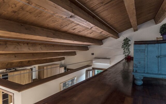 マンサルダ マグリット