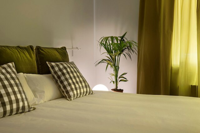 アニマ アパートメンツ サンツ