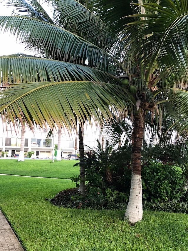 上海 (上海大众大厦)