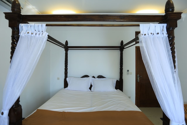 ピーホームバチロ