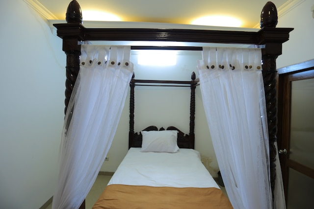 ピーホームバチロ