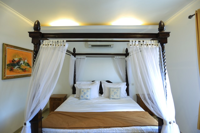 ピーホームバチロ