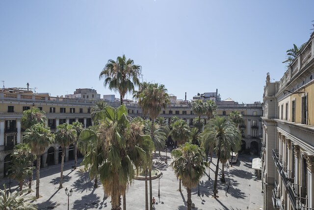 マイ アドレス イン プラザ レアル