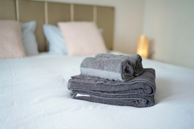 オークランド CBD モダン 2 ベッドルーム アパートメント