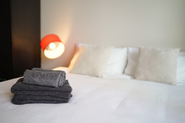 オークランド CBD モダン 2 ベッドルーム アパートメント