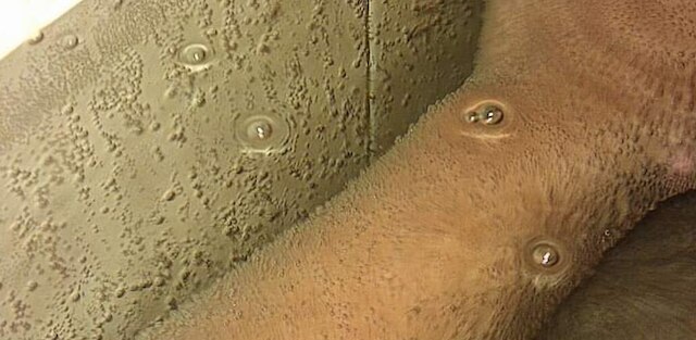 ジン ファ コールド スプリング ホテル (金華冷泉旅館)