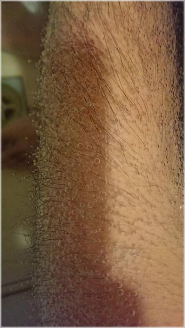 ジン ファ コールド スプリング ホテル (金華冷泉旅館)