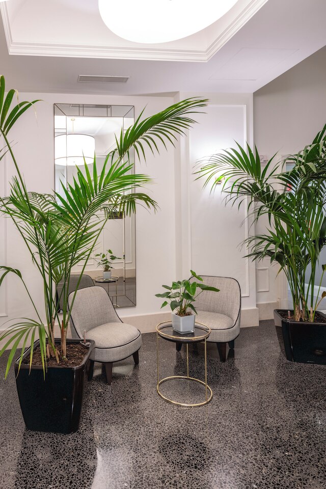 H10 パラッツォ カノーヴァ