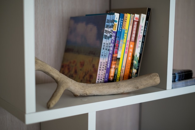 サニー ホーム (陽光原宿)