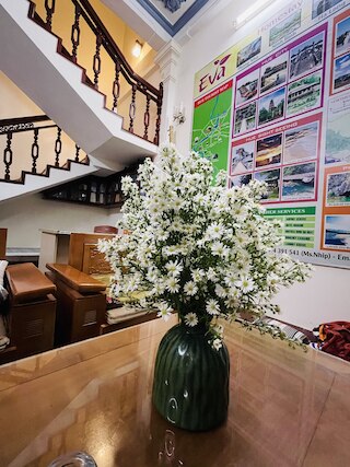 エヴァ ホームステイ