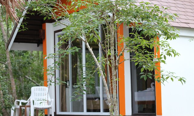 コ ムック ザ サン グレート リゾート