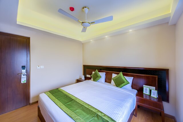 ツリーボ ヴェダンタ メトロポリタン