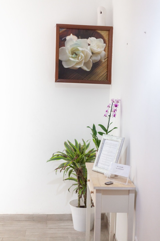 ブライト スペーシャス リスボン