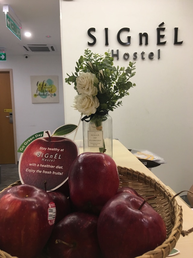 シグネル ホステル