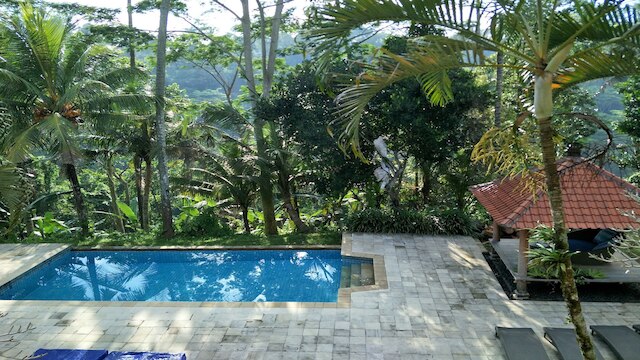 ザ ホワイト ヘロン