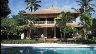 ザ ホワイト ヘロン