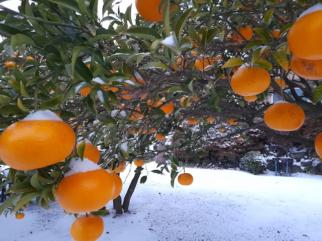 ヘアンスン ペンション