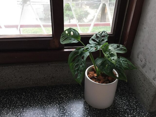 シヴィル ライフ ゲストハウス 台南 (台南日常民宿)