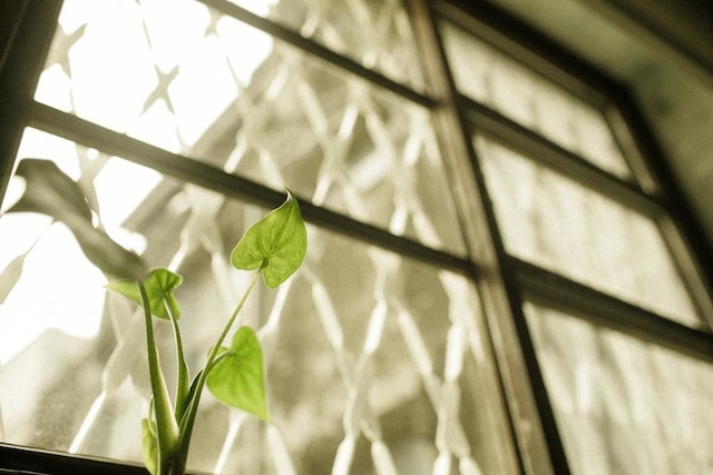 シヴィル ライフ ゲストハウス 台南 (台南日常民宿)