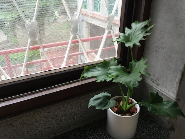 シヴィル ライフ ゲストハウス 台南 (台南日常民宿)