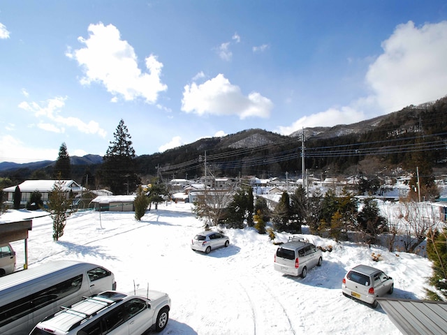 水芭蕉の宿ひがし