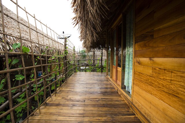 バーントンランプ パクプラ