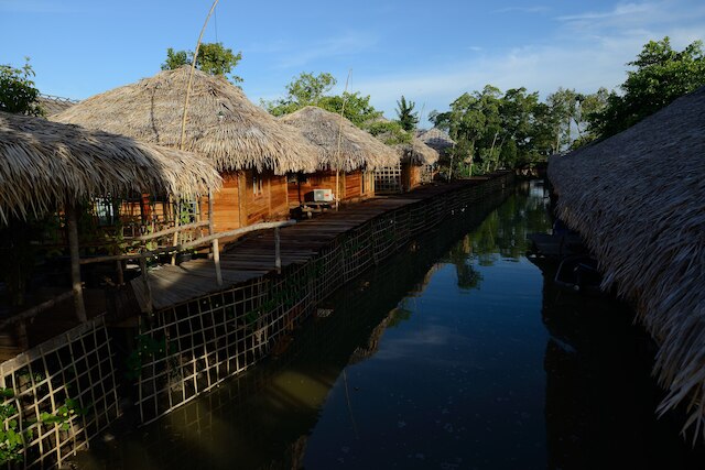 バーントンランプ パクプラ