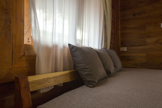 バーントンランプ パクプラ