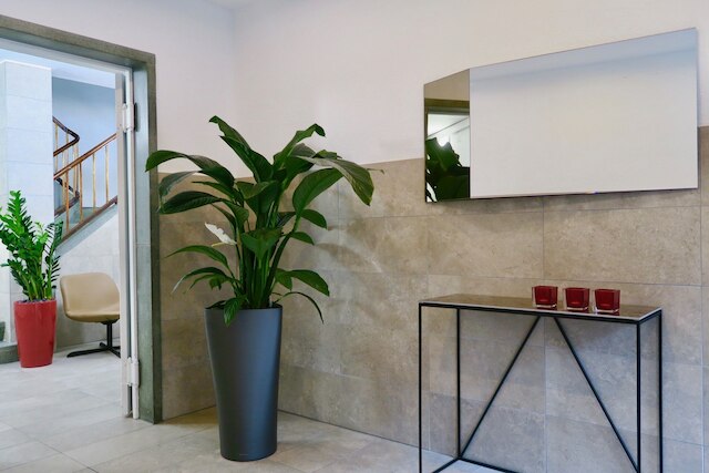 チューリッヒ ファーニッシュド ホームズ