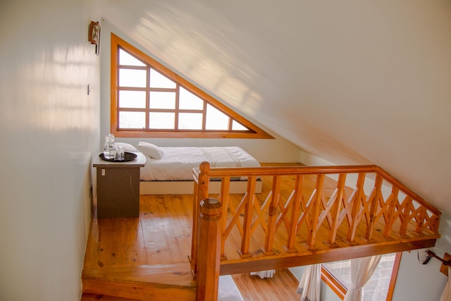 ザ ラプシ トリー