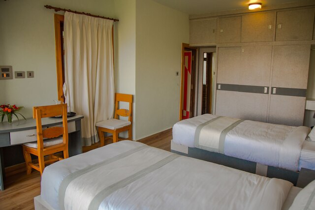 ザ ラプシ トリー