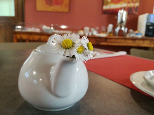 アグリツーリズモ アイ ドゥエ レオーニ