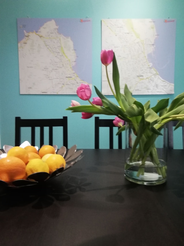 B&B 120 ロディオノフ - コネクション トゥ エアポート アンド モンデッロ ビーチ