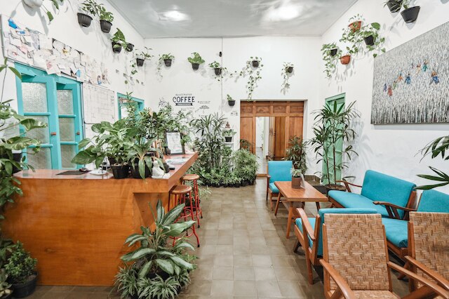 スヌーズ ゲストハウス ジョグジャカルタ - ホステル