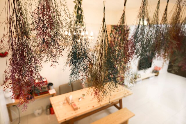 アンピン リウヘジュ イン