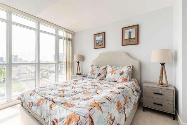 エレガント ダウンタウン アパートメント