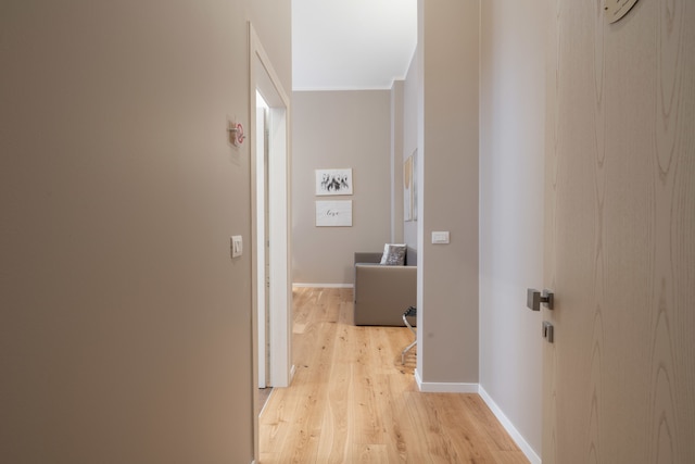 ホテル パラッツォ マーティネリ ドルフィン