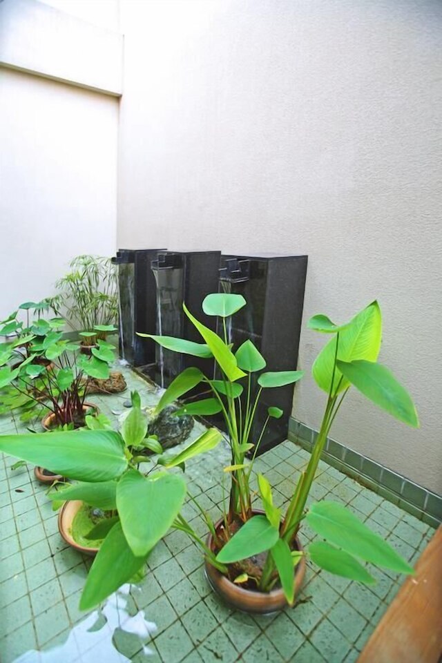 スプリング スパ モーテル